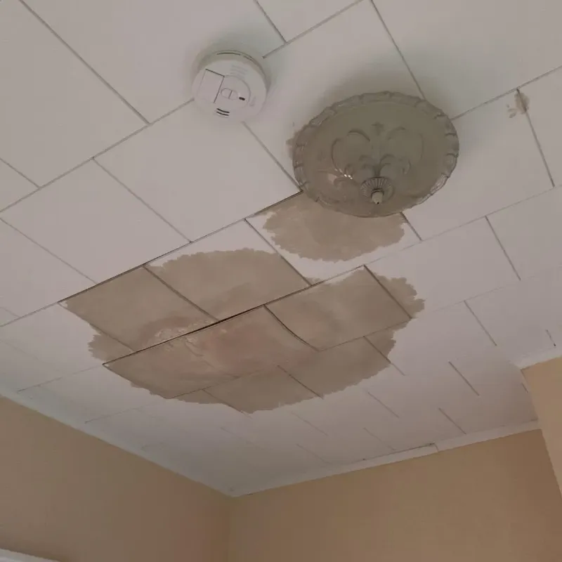 Ceiling Water Damage Repair in Devon, PA